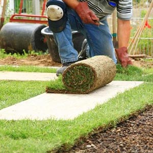 Békés Kertépítő Kft.